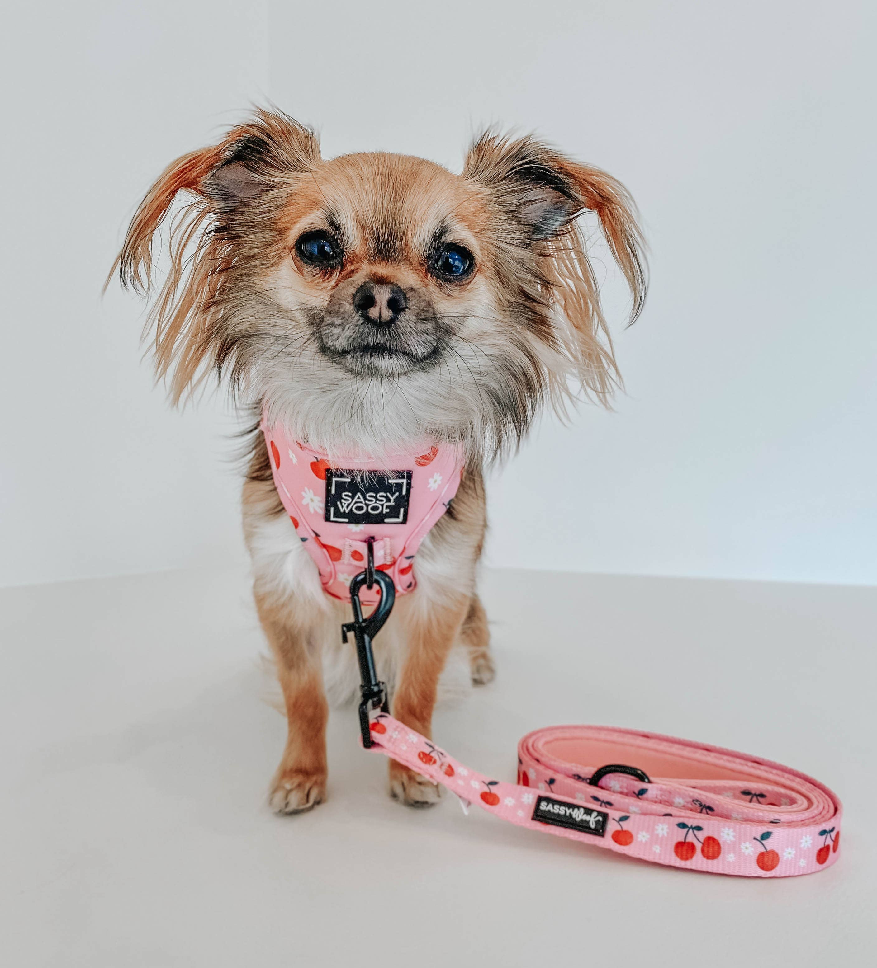 SASSY WOOF - Dog Adjustable Harness - Mon Cherry: XS
